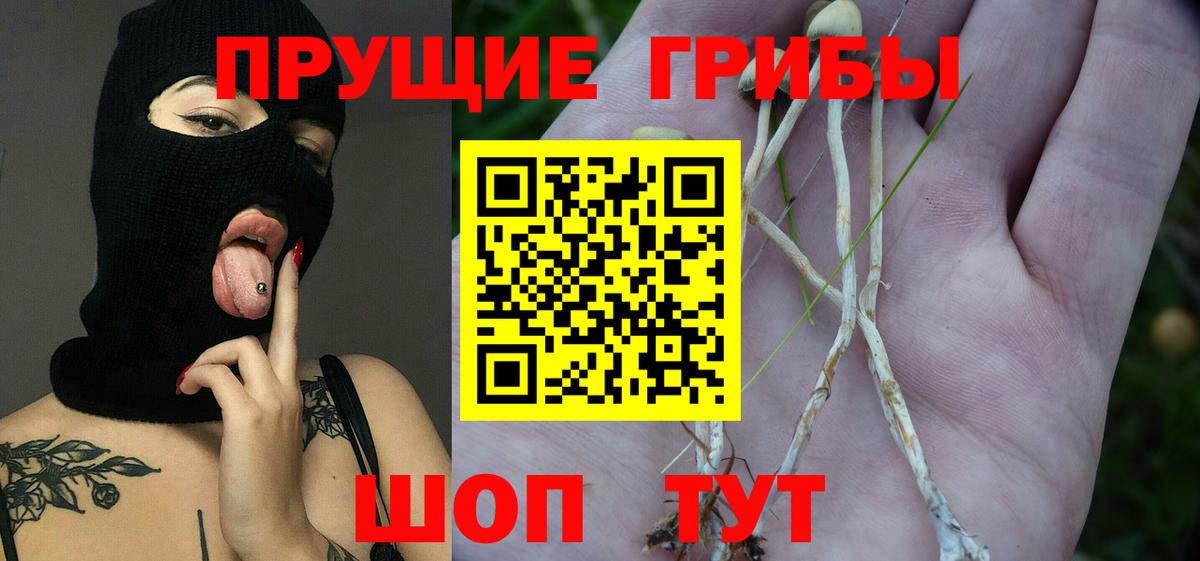 Галлюциногенные грибы MAGIC MUSHROOMS  Вход с VPN  Каменск-Шахтинский 